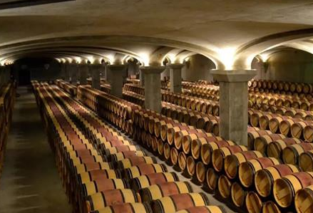 法国研究人员揭示葡萄酒苦味的来源