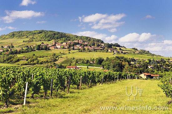 beaujolais-theize.jpg