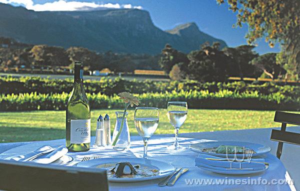 Wine-in-South-Africa.jpg