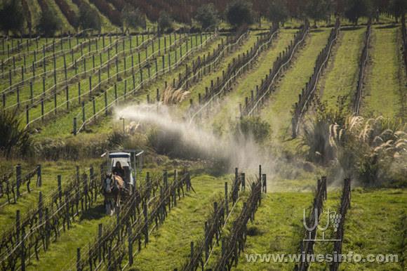 Seresin_New_Zealand_20150526_1093-900x600.jpg